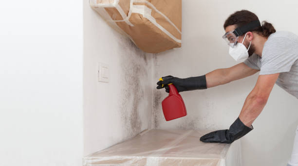 Professional Mold Removal technician working in Coats, NC