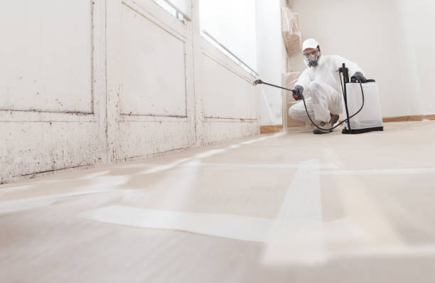 24/7 Emergency Mold Removal experts in Coats, NC